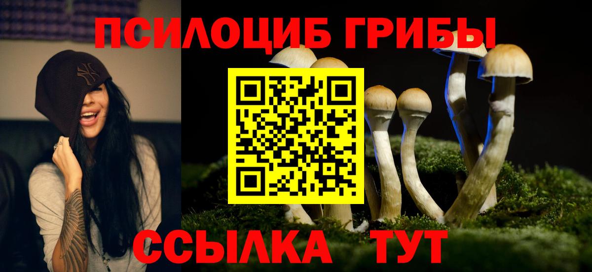 Сосновоборск  Псилоцибиновые грибы мицелий  Вход с VPN 